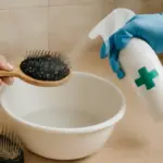 Disinfettare le spazzole per la toelettatura: il procedimento che assicura igiene e zero batteri